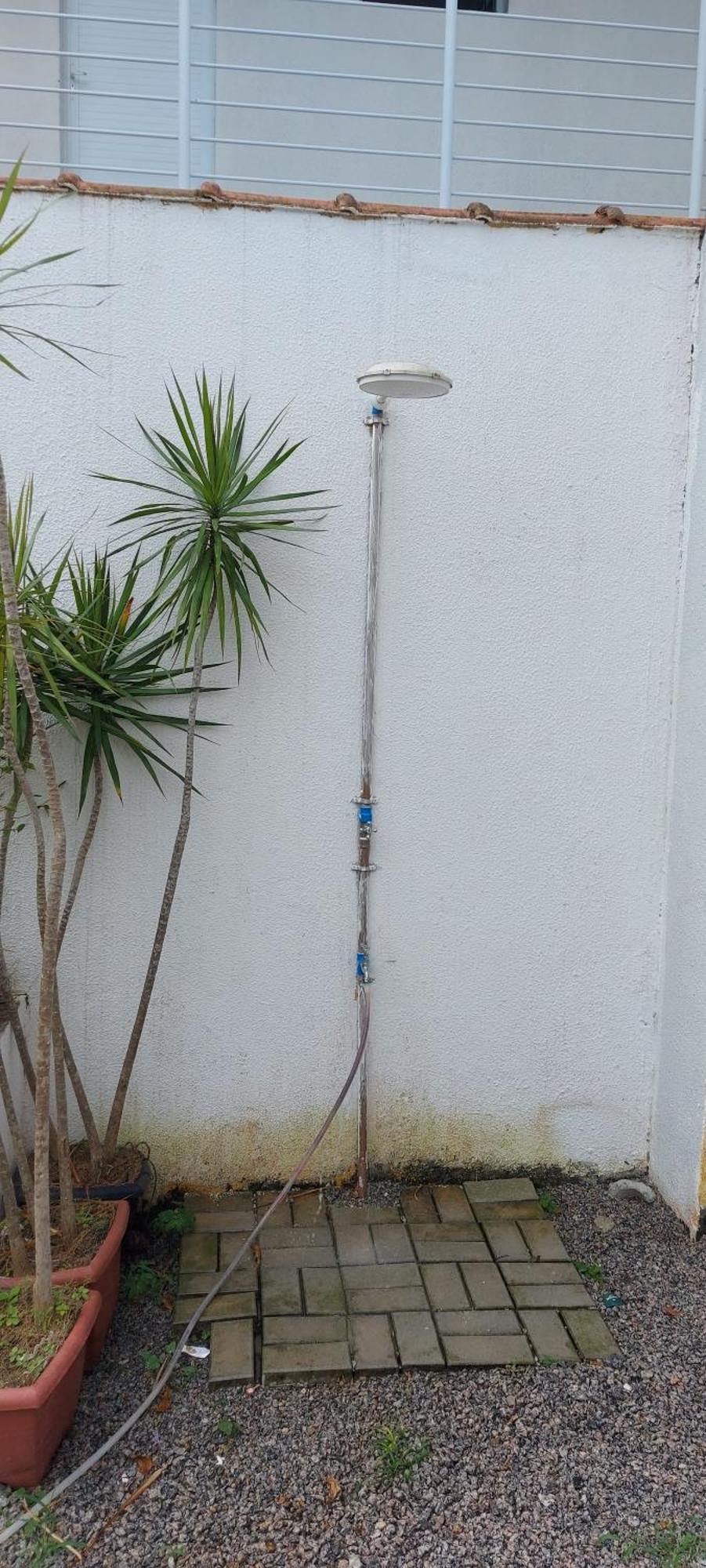 Licuri Boicucanga